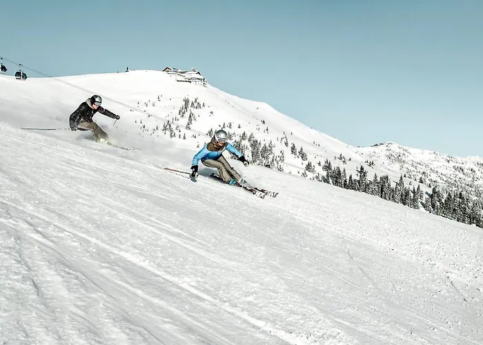 ليبسيلتر زيل أم سي